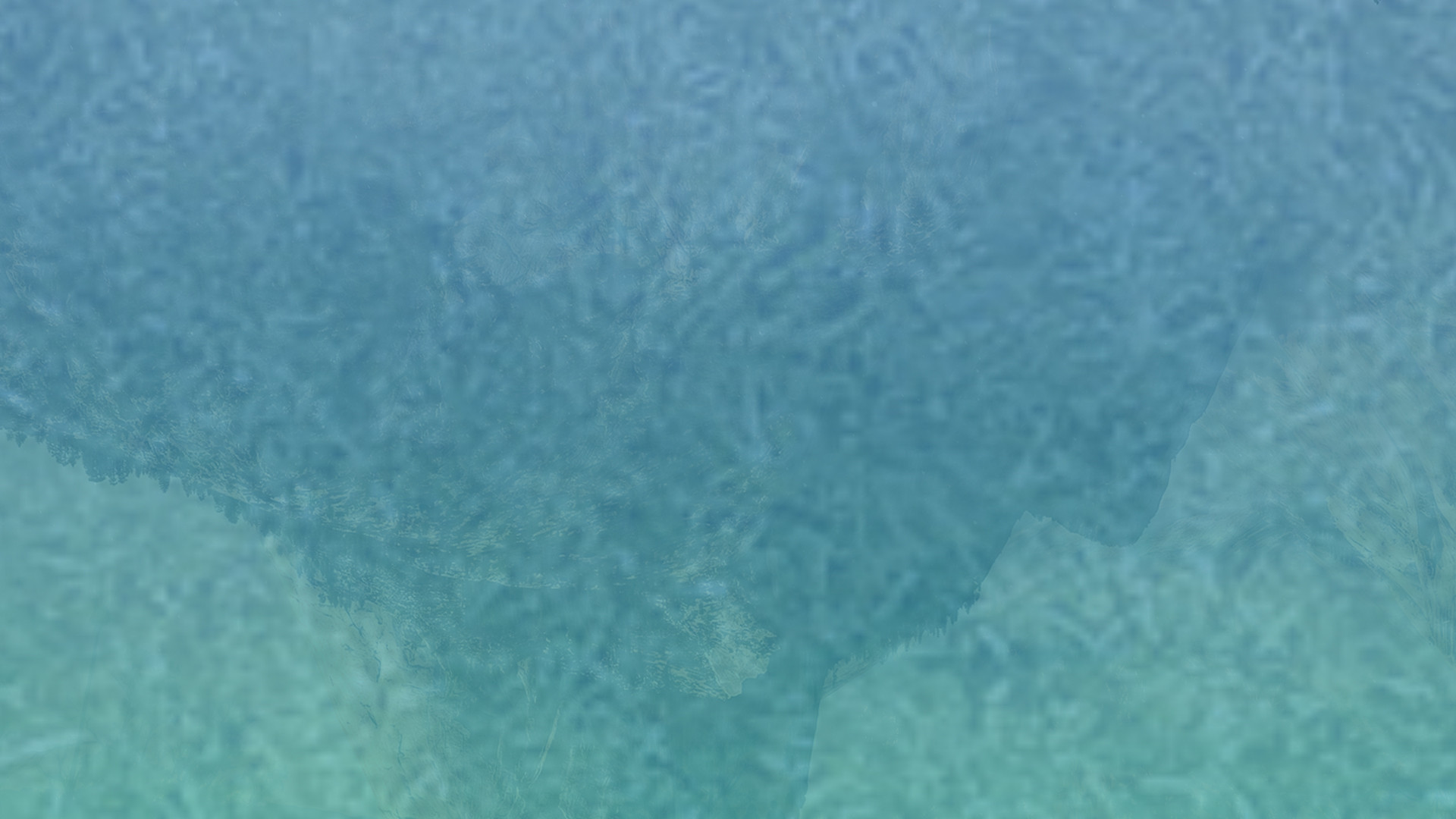 攻击网站的方法